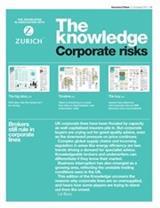The Knowledge corporate risks