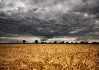 DUAL launches specialist agricultural products