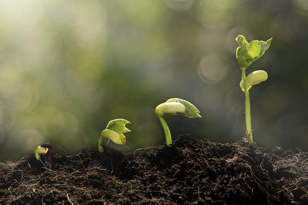 AA expands underwriting business