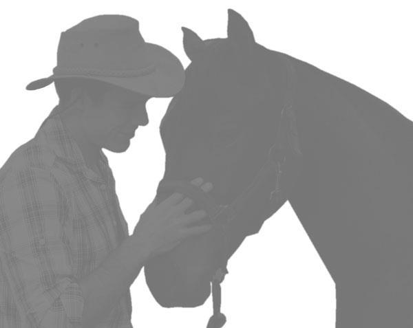 Horse Whisperer's final day Cheltenham briefing