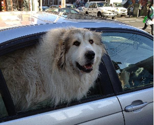 Munich Re-backed broker launches first own brand offering