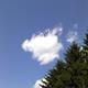 Adoption of cloud computing stifled due to poor risk assessment